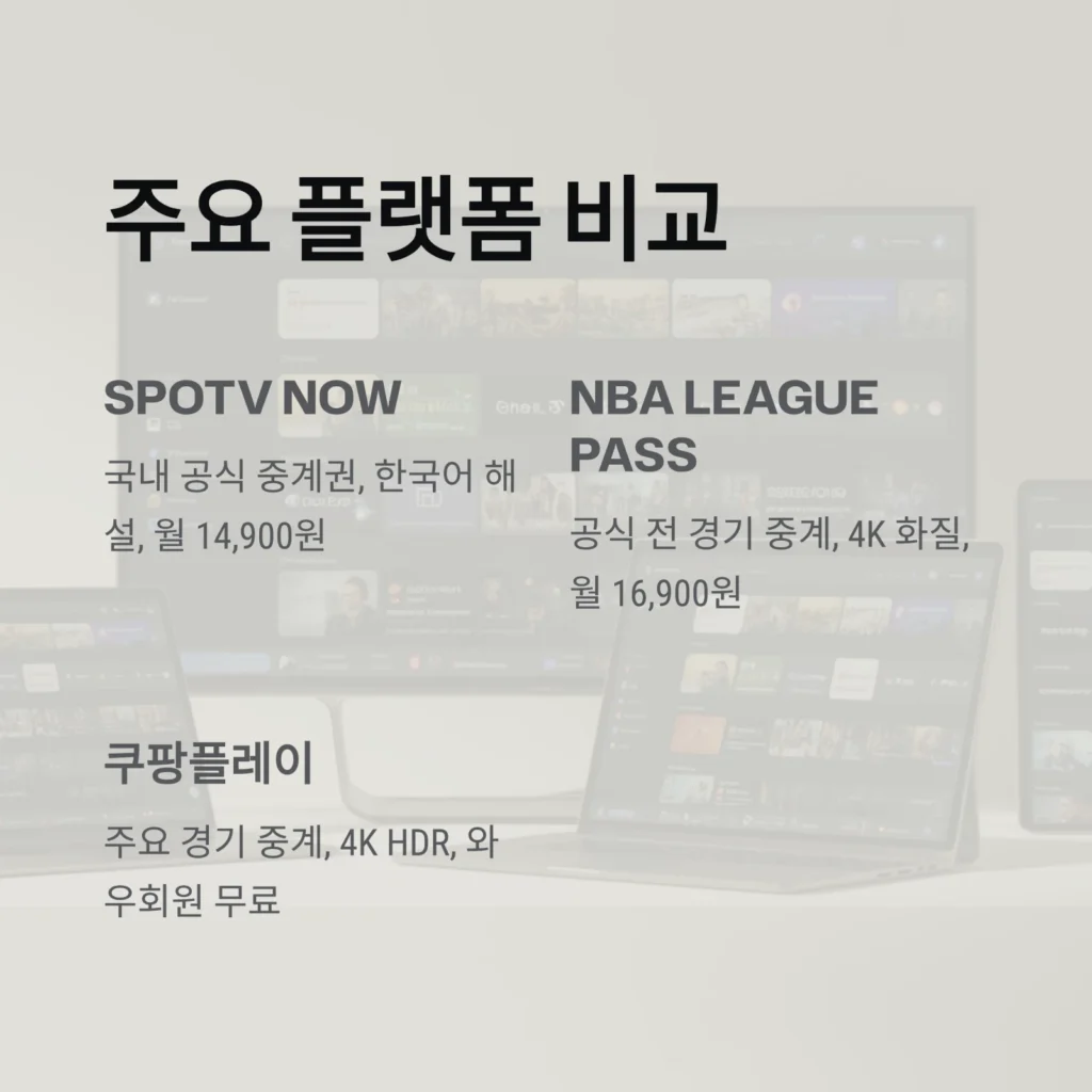 NBA 경기 생중계 보는 시간대와 추천 사이트