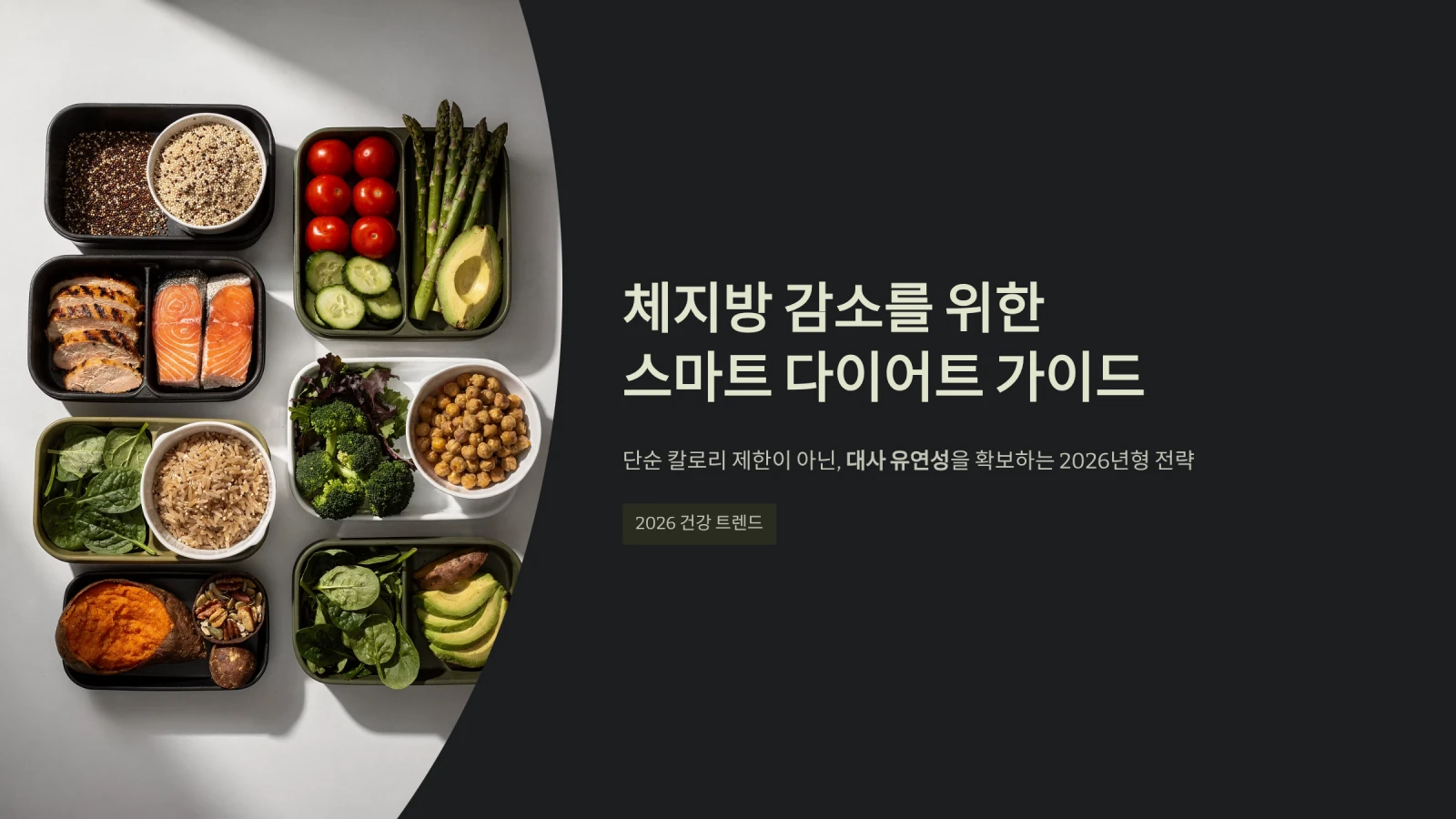 체지방 감소를 위한스마트 다이어트 가이드