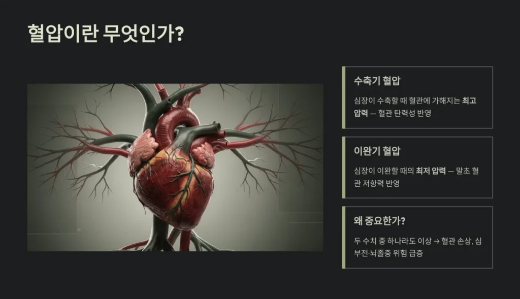 혈압 정상 수치 정리: 연령별 기준 및 측정 방법 가이드 2 혈압 정상 수치 정리
