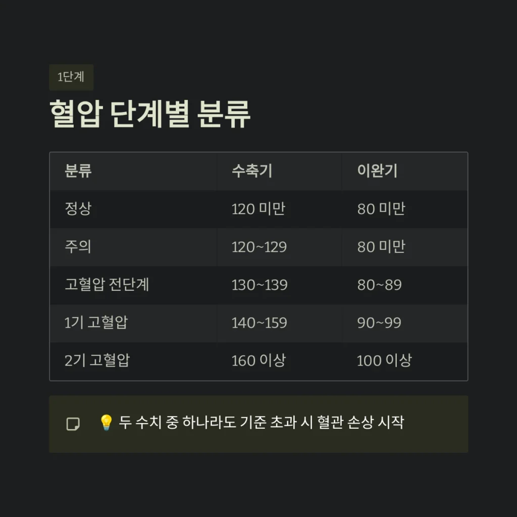 혈압 정상 수치 기준 및 고혈압 관리 방법 완벽 가이드 2 혈압 정상 수치 혈압 단계별 분류