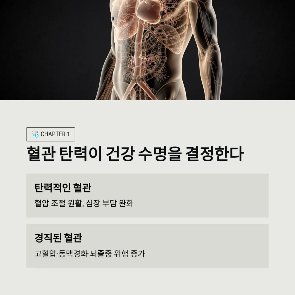 집에서 하는 10분 스트레칭: 혈관 탄력을 높여 심혈관 건강을 지키는 비결 2 혈관 탄력이 건강 수명을 결정한다