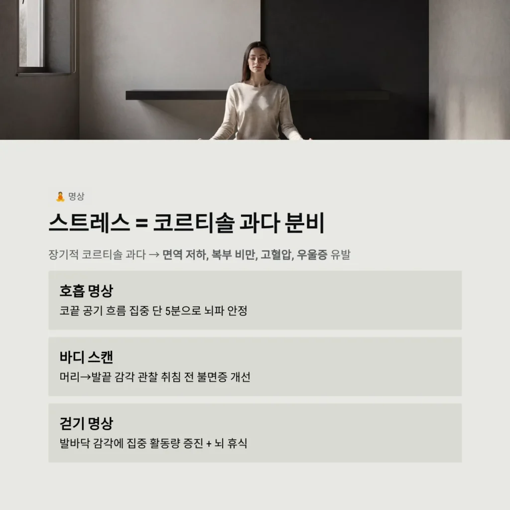 스트레스 = 코르티솔 과다 분비